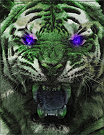 Psychedelic Art - White Tiger Green