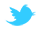 Twitter Icon